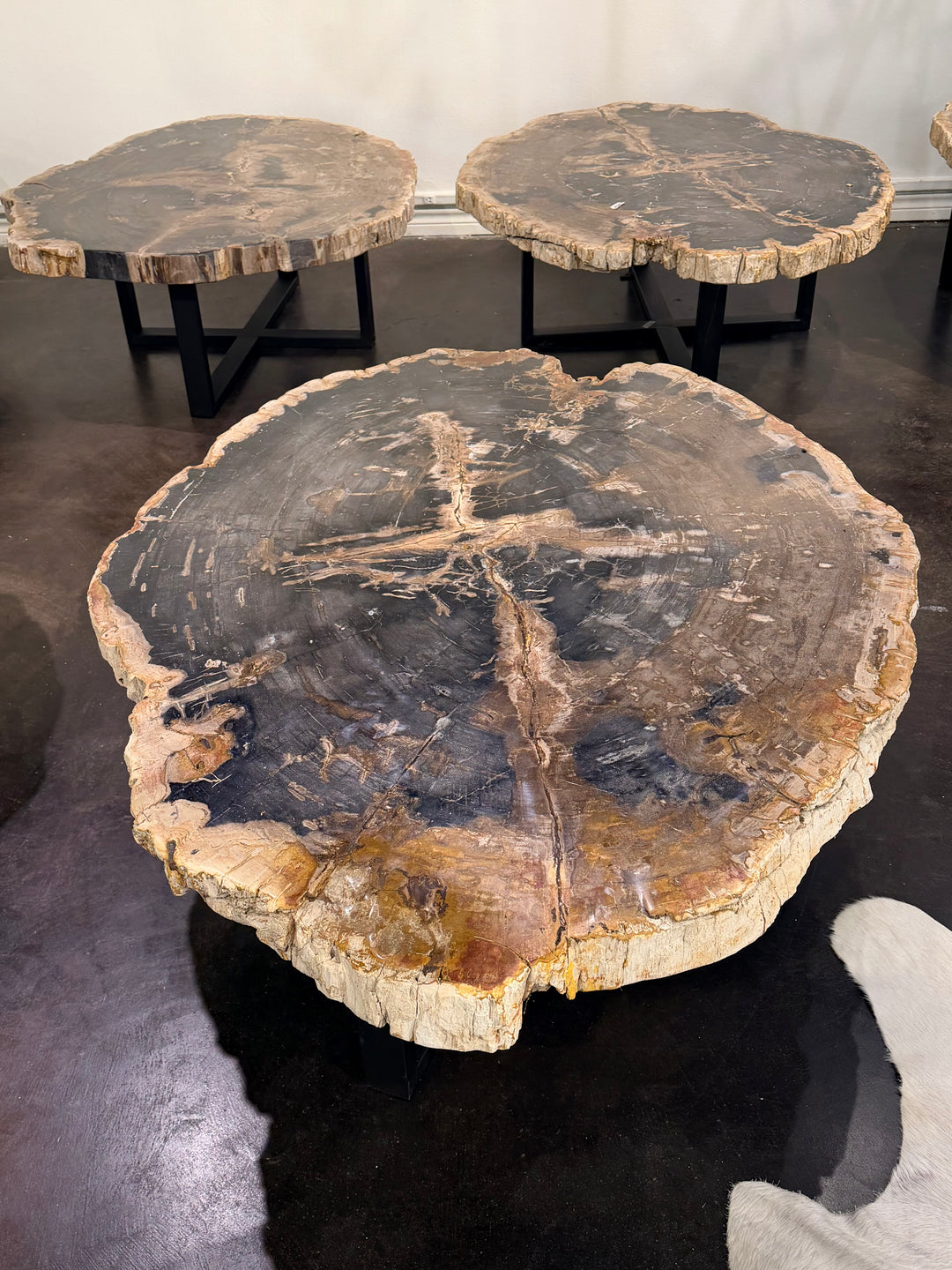 Petrified Wood coffee table 